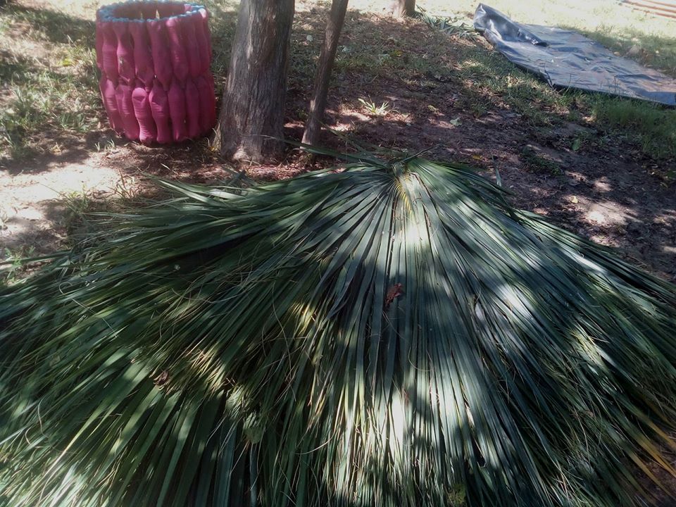 46489423_1940689336014678_4871285824756383744_o